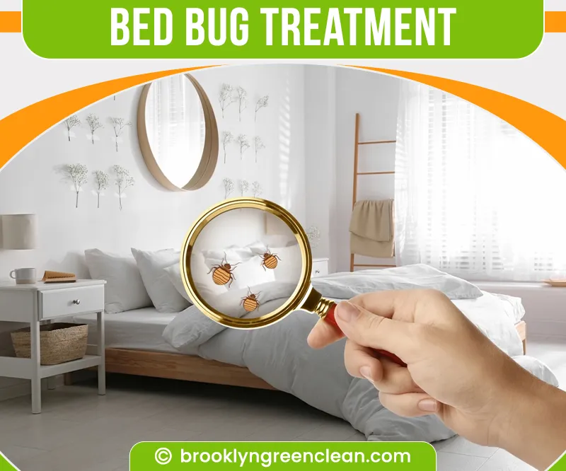 carpet cleaning in brooklyn, carpet cleaning in new york, carpet cleaning brooklyn, carpet cleaners in brooklyn, carpet cleaners in new york, commercial carpet cleaning, commercial carpet cleaning in brooklyn, brooklyn rug cleaners, rug cleaning services in brooklyn, same day carpet cleaning, same day rug cleaning