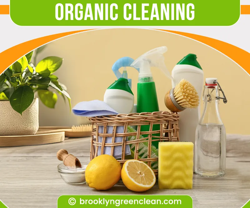 carpet cleaning in brooklyn, carpet cleaning in new york, carpet cleaning brooklyn, carpet cleaners in brooklyn, carpet cleaners in new york, commercial carpet cleaning, commercial carpet cleaning in brooklyn, brooklyn rug cleaners, rug cleaning services in brooklyn, same day carpet cleaning, same day rug cleaning